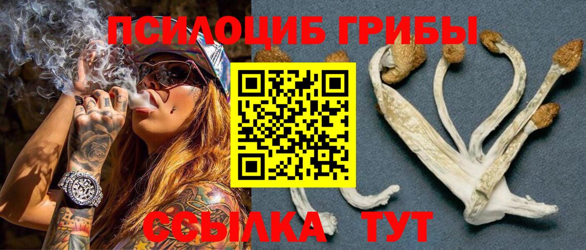 Псилоцибиновые грибы MAGIC MUSHROOMS  закладка  Белореченск  Вход с VPN 